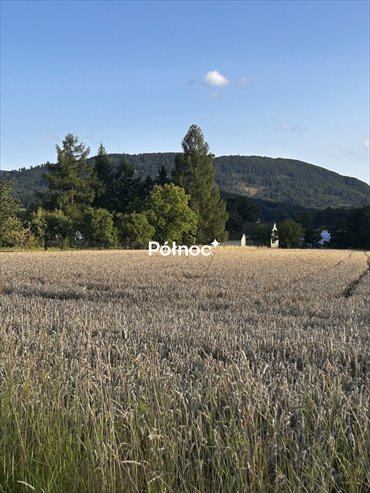 Działka rolna z widokiem na Czantorię, 5220 m² działka Goleszów