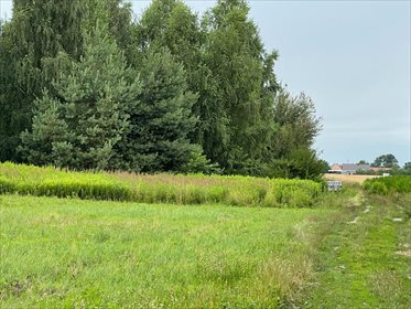 Działka budowlana na sprzedaż Biskupice Oławskie 1 090m2 Foto 7