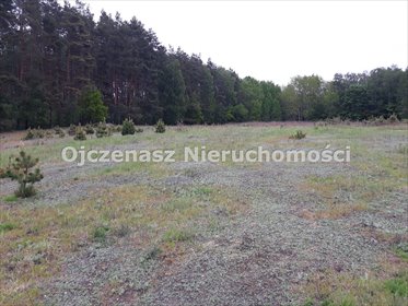 Działka pod dom z lasem, 1011 m², spokój i możliwości - polecam! działka Otowice