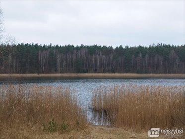 Urokliwy dom z kominkiem i lasem 5 tys. m² dom Psie Głowy
