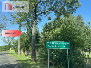 działka na sprzedaż 22300m2 działka Suliradzice