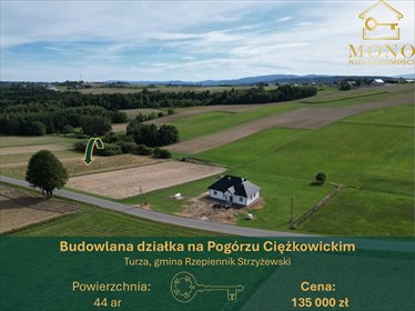 Polecam działkę 44 ar w Turzy - cisza, natura, piękne widoki działka Turza