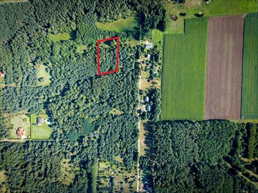 Działka 3960 m2 pod budowę domu z własnym lasem! działka Pelagia, Zagłoby
