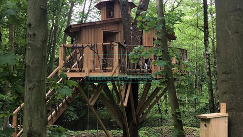 działka na sprzedaż 23000m2 działka Wola Polska