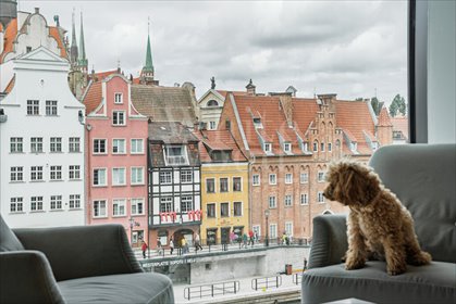 mieszkanie na sprzedaż 74m2 mieszkanie Gdańsk, Śródmieście, Chmielna