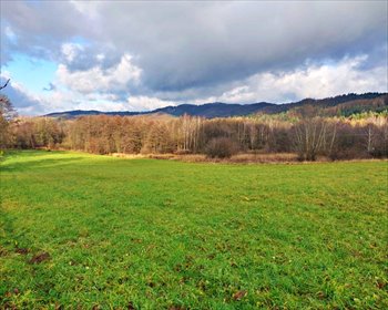 działka na sprzedaż 1600m2 działka Załuż