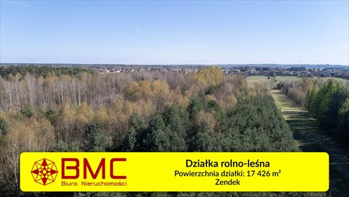 Działka leśna 17 426 m² w Zendku - cisza i prywatność działka Zendek