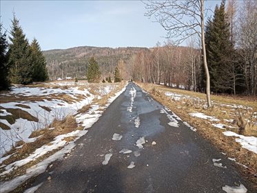 Działka rolna na sprzedaż Stary Gierałtów, Stronie Śląskie 30 300m2 Foto 7