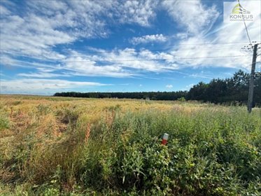 Atrakcyjna działka 10 500 m² w Nagłowicach – inwestycja lub dom działka Nagłowice