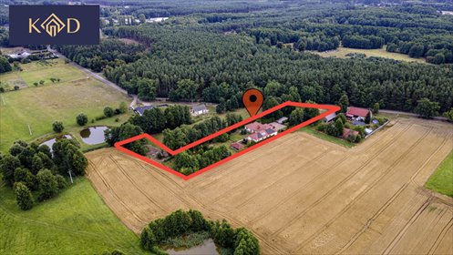 Na sprzedaż luksusowa rezydencja 444 m² z stawem i ogrodem dom Jastrzębsko Stare, Dworcowa