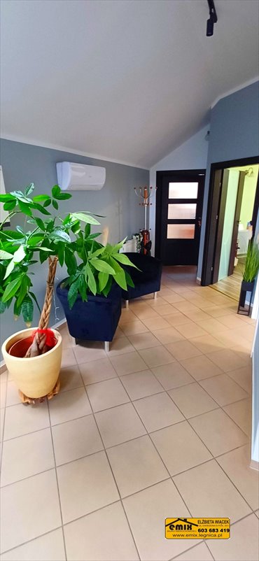 Lokal użytkowy 14 m² w Złotoryi - polecam lokal użytkowy Złotoryja, Sprzymierzeńców