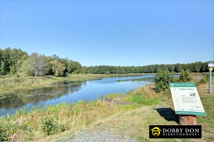 dom na sprzedaż 150m2 dom Topiło