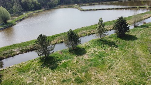 Działka 54 ha z stawami i lasem, inwestycja lub rekreacja działka Lublin, Zemborzyce