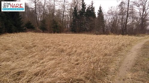 Działka inwestycyjna na sprzedaż Pojezierce 14 600m2 Foto 4