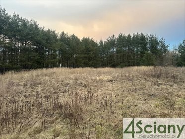 działka na sprzedaż 4670m2 działka Warszawa, Wawer, Zerzeń