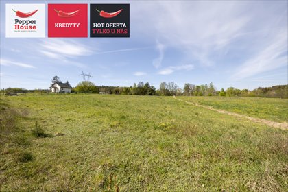 działka na sprzedaż 1158m2 działka Niestępowo, Jana Potockiego