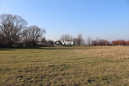 działka na sprzedaż 2656m2 działka Kraśnicza Wola