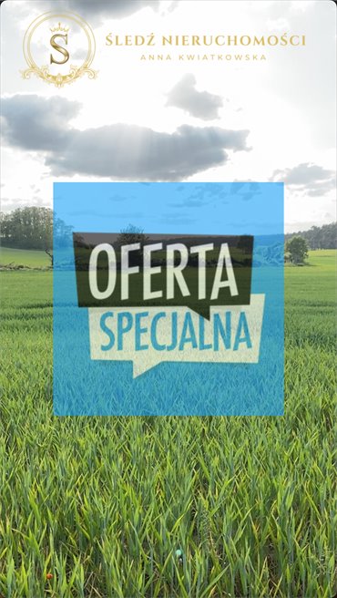 działka na sprzedaż 11459m2 działka Wołów, Gajowa