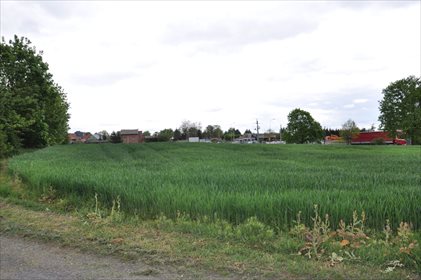 Działka inna na sprzedaż Gniszewo 6 695m2 Foto 2