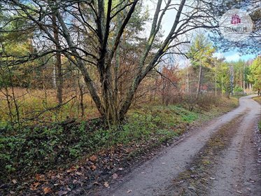 działka na sprzedaż 18707m2 działka Stękiny, Stękiny