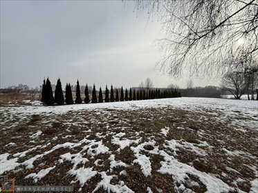 działka na sprzedaż 2300m2 działka Bibice