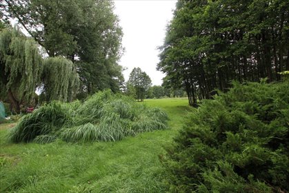 Sprzedam urokliwe siedlisko 2ha z domkiem, stawem i lasem dom Sługocin