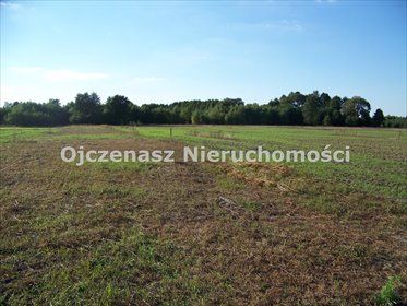 Na sprzedaż działka 1000 m² w Kruszynie z warunkami zabudowy działka Kruszyn