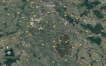 Lokal użytkowy na sprzedaż Domaniów 2 285m2 Foto 2