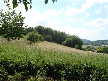 działka na sprzedaż 2142m2 działka Dziećmorowice