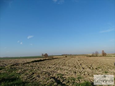 Działka rolna na sprzedaż Babice 7 838m2 Foto 2