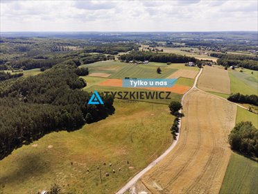 Działka rolna 3 111 m² w Milwinie – spokój i bliskość natury działka Milwino, Rolnicza