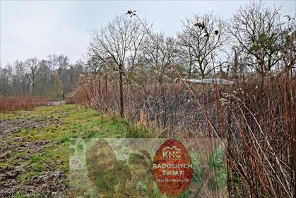 działka na sprzedaż 3000m2 działka Kazimierz Dolny