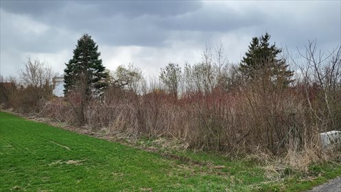 działka na sprzedaż 1509m2 działka Lublin, Dąbrowicka