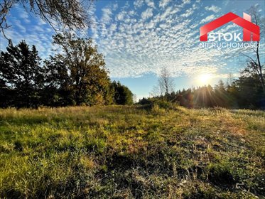 działka na sprzedaż 3004m2 działka Lewickie-Stacja