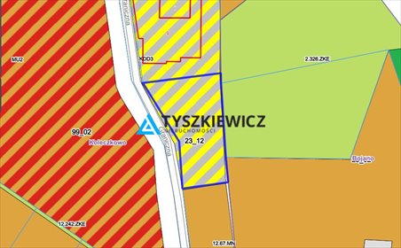 działka na sprzedaż 1300m2 działka Koleczkowo, Graniczna