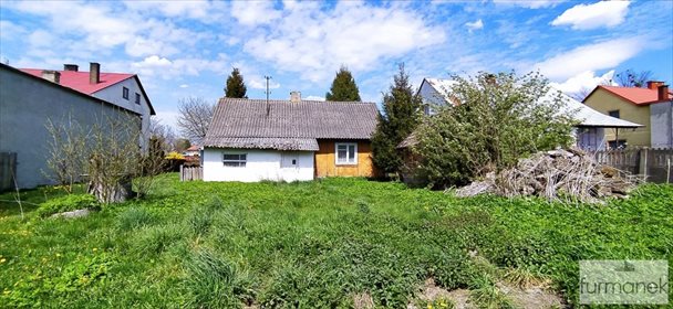 Działka budowlana na sprzedaż Aleksandrów 8 800m2 Foto 5