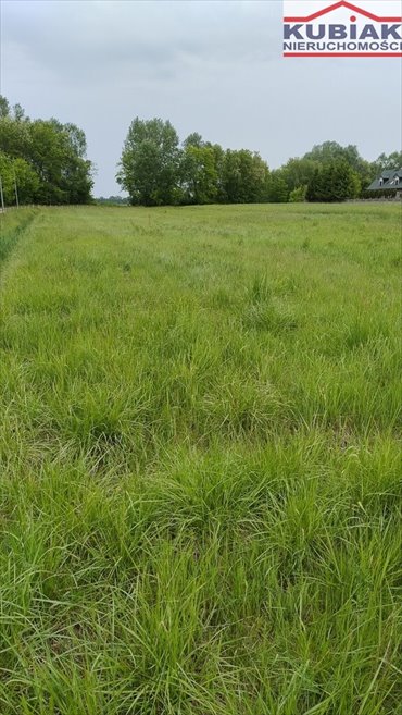 działka na sprzedaż 1950m2 działka Pruszków