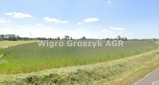 działka na sprzedaż 21287m2 działka Stary Łuszczewek