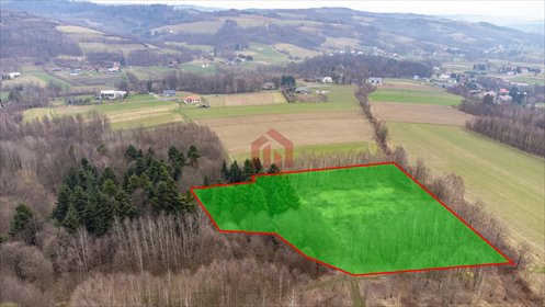 Malownicza działka 10 400 m² z lasem i strumieniem - polecam! działka Żyznów