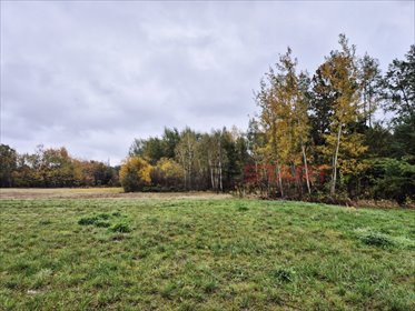 działka na sprzedaż 3094m2 działka Stare Budy