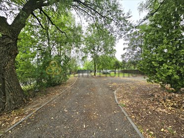 lokal użytkowy na sprzedaż 295m2 lokal użytkowy Poznań, Antoninek