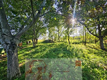 działka na sprzedaż 3024m2 działka Smugi