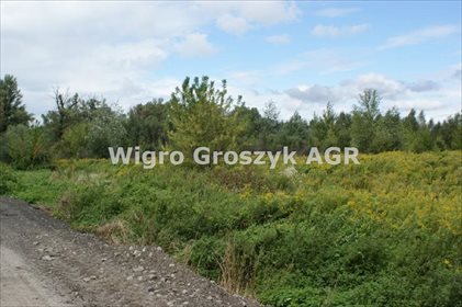 Działka 31 524 m² pod zabudowę jednorodzinną - polecam! działka Warszawa, Białołęka, Kępa Tarchomińska