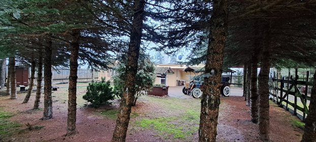 dom na sprzedaż 73m2 dom Żółtki