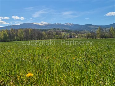 działka na sprzedaż 9000m2 działka Podgórzyn