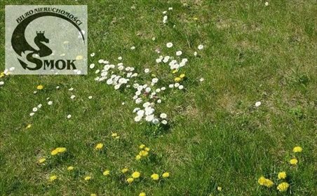 działka na sprzedaż 2500m2 działka Staniątki