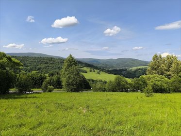 działka na sprzedaż 2309m2 działka Szare