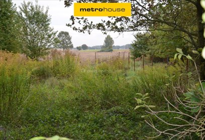 działka na sprzedaż 1500m2 działka Wykno