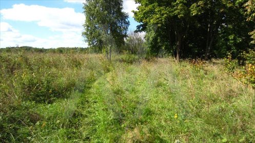 Działka siedliskowa na sprzedaż Pawłowo, Znana 44 408m2 Foto 5