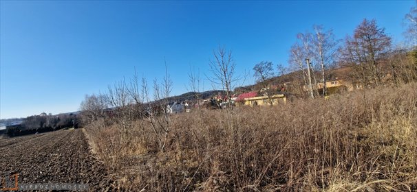Na sprzedaż działka 4,6 ha pod zabudowę mieszk.-usługową w Aleksandrowicach działka Aleksandrowice